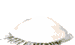 L'oeil